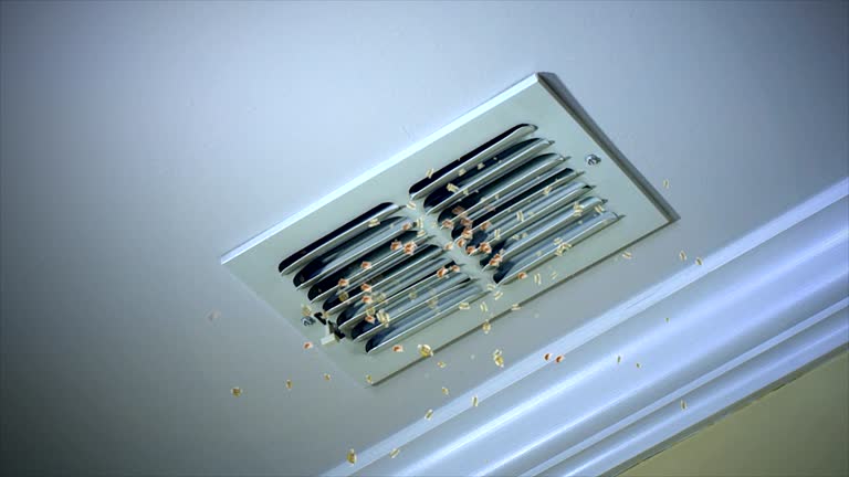 Best Dryer Vent Cleaning Services  in Elmira, NY